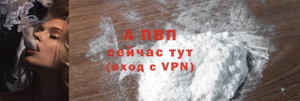 дживик Ростов