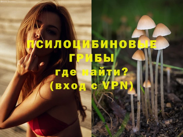 марки lsd Белокуриха