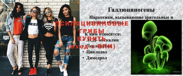 2c-b Беломорск