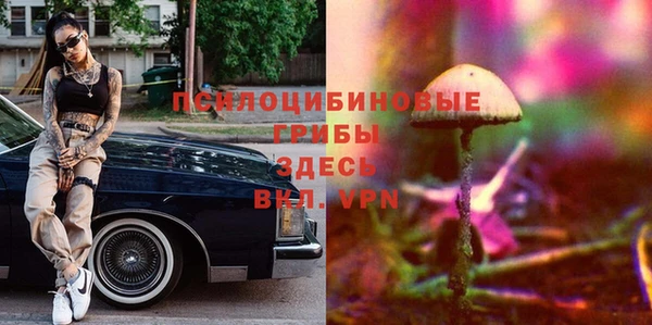 марки lsd Белокуриха